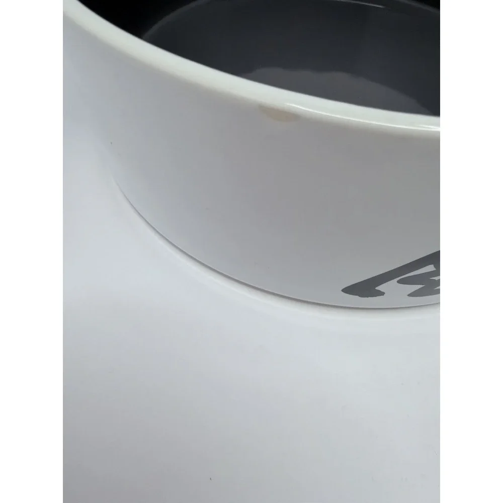 Disney Chewy Mickey Mouse Lines White Black Pet Dog Cat Food Water Bowl READ